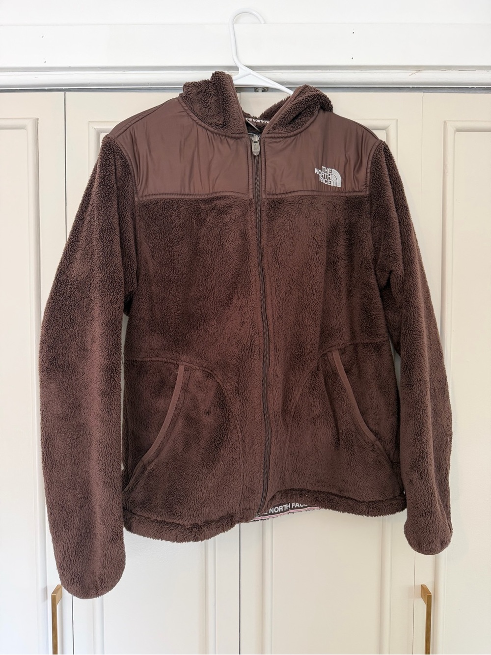 The North Face Brown Sherpa Fleece With Hood